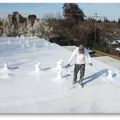 Roof Seal: Oxime Silicone