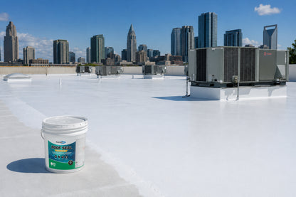 Roof Seal: Oxime Silicone