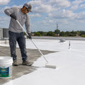 Roof Seal: Oxime Silicone